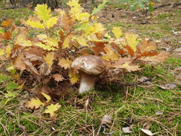 A myślałem, że mnie tu nikt nie znajdzie.