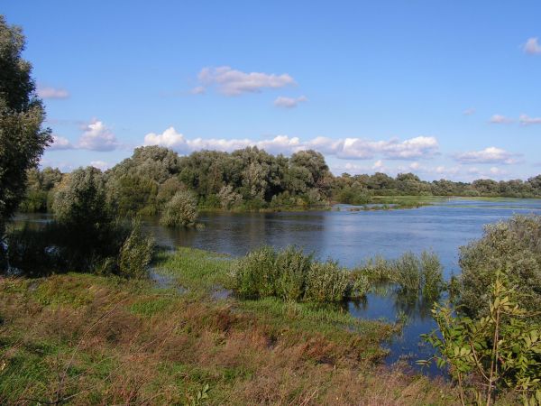 zdjecie Wola Uhruska