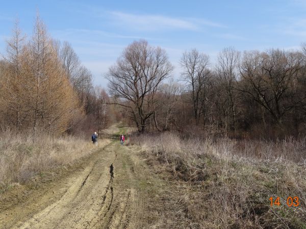 Przyroda - opuszczoną dolinę owładnęła, wędrując drogą nasłuchujemy krzątaniny wioskowej, nawoływań właściciela dworu i majątku p.Wełtycza, parskania koni, rycz