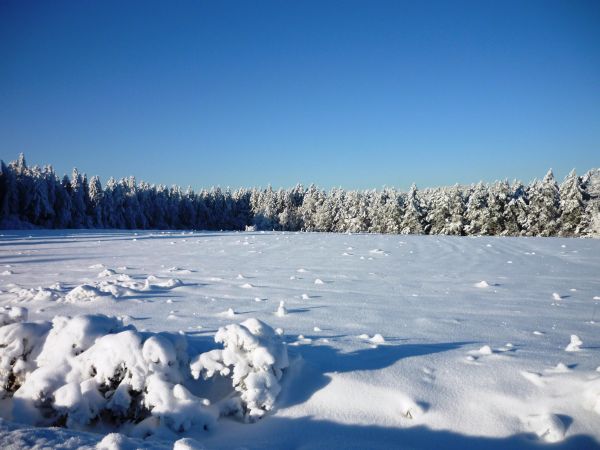Zimowe krajobrazy z okolic  Arłamowa na Pogórzu Przemyskim.
