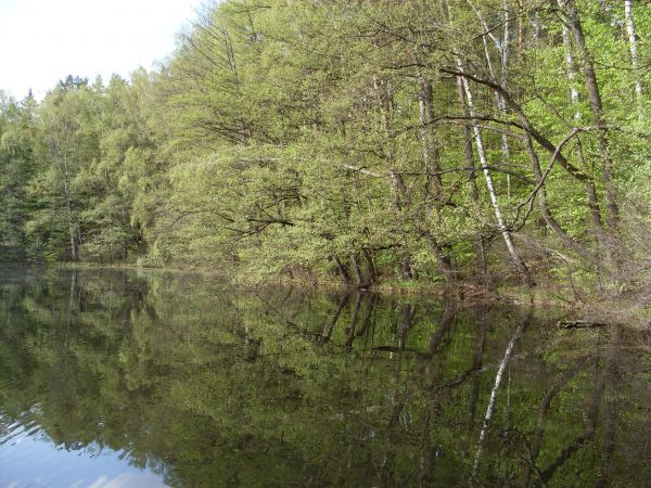 Jezioro Małe-Leśne.