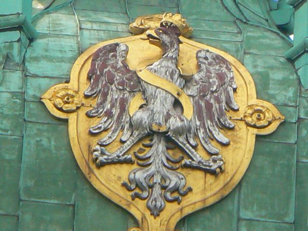 Orzeł na wieży zygmuntowskiej -wawel