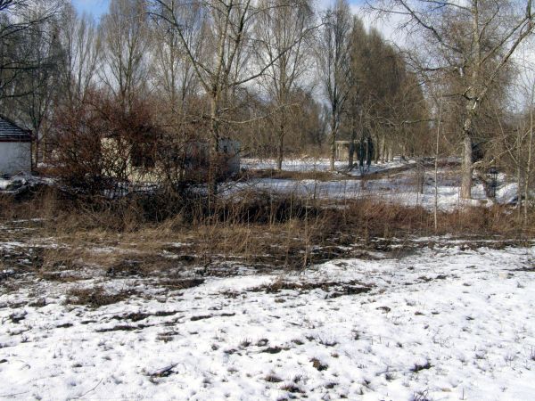 Zdewastowana fabryka domów przy ul. Północnej   fot.  1