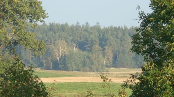 zdjecie Topiłówka
