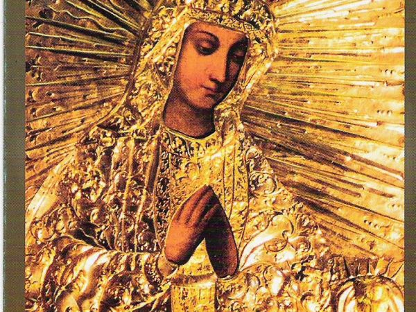 W 1996r. przypadało 400-lecie cudownego Wizerunku Matki Bożej Pocieszenia - Pani Sanockiej. Wierni, w ramach tego Maryjnego jubileuszu, modlili się o beatyfikac