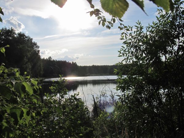 Nad jeziorem Gogolinek w Czarnym - ośrodek wczasowy