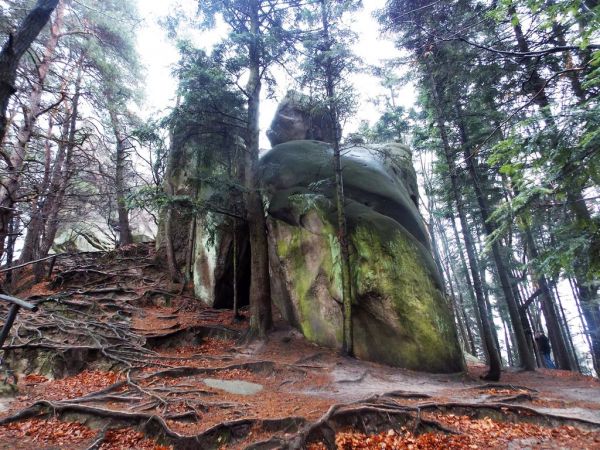 Rezerwat przyrody Prządki