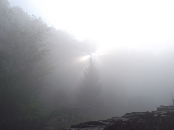 słońce próbuje przebić promieniami przez mgły, bo "niedźwiedzie piwo warzą" ale i też przez dymy zalegające nad polaną w lecie, gdzie retorta - gdzie wypał węgl