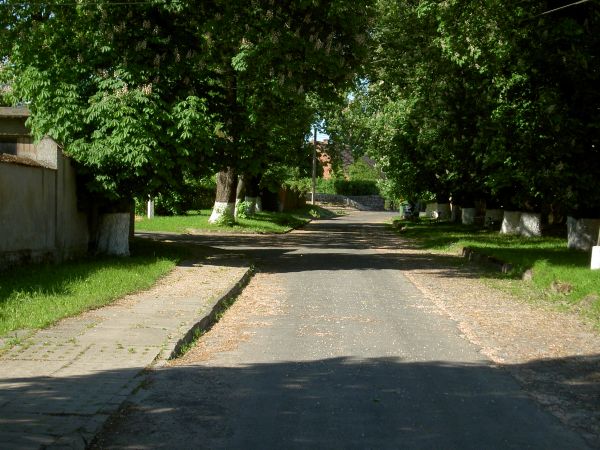 zdjecie Święciechów