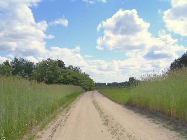 Droga przez wieś Marusy