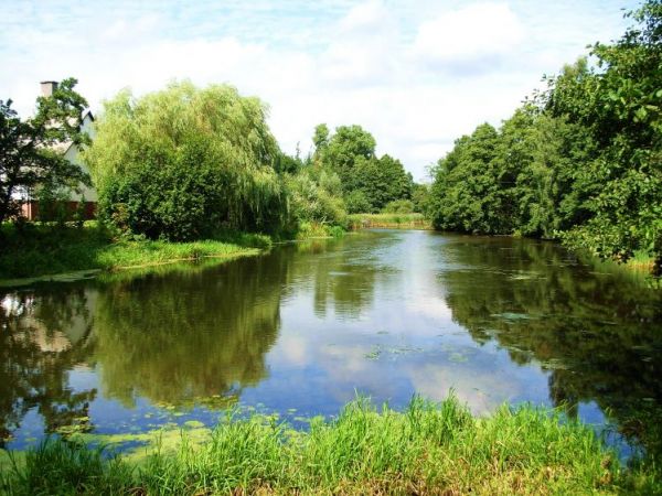 Widok na rzekę "Wdę"