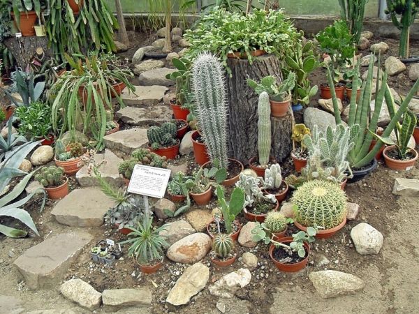 FRANK-RAJ _Ozdobne Ogrody Polskie