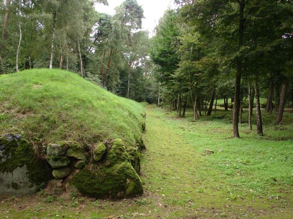 zdjecie Wietrzychowice