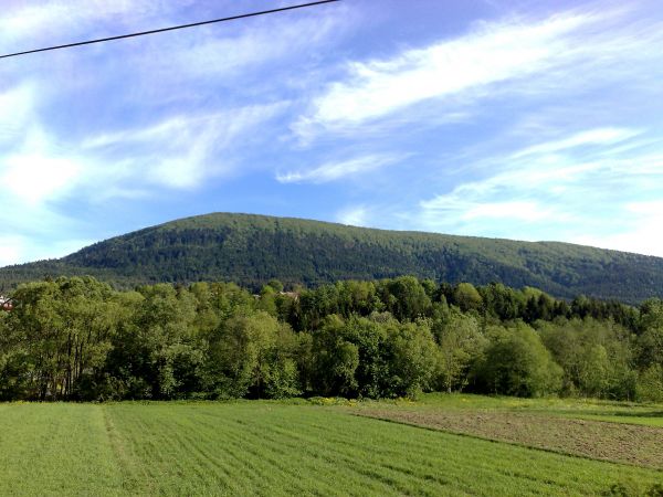 Lubogoszcz (968 m n.p.m  Beskid Wyspowy)- widok z drogi Węglówka-Kasina Wielka