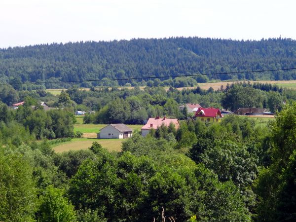 W drodze z Ośrodka wypoczynkowego z Belnej Górnej do Biecza.