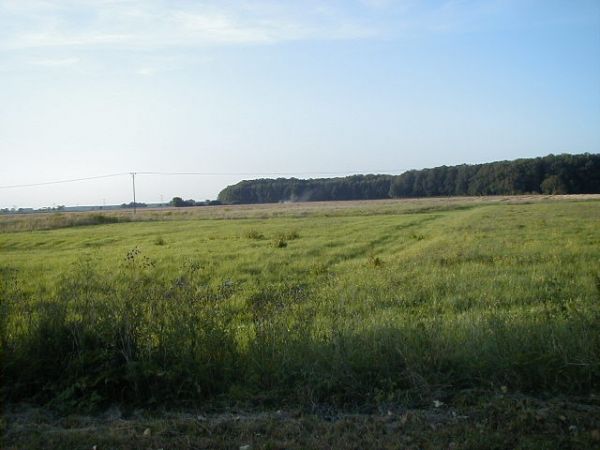 Widok na okoliczne pola w kierunku północnym.