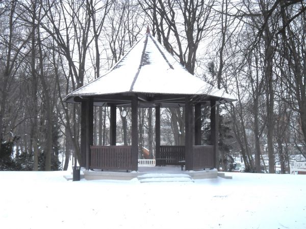 Ogród Saski w zimowej scenerii.