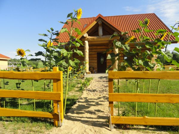 alejka słonecznikowo-winogronowa!