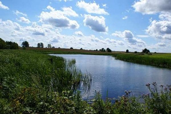 Stawik w kolonii "Majątek" - Golce