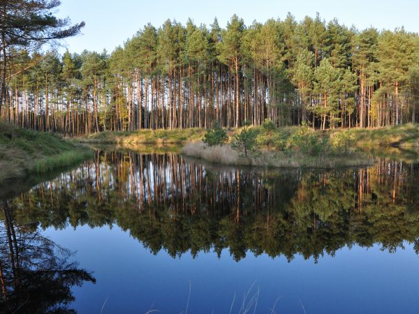 Wolsztyn, okoliczne lasy zaskakują różnorodnością krajobrazu, jedno z licznych oczek leśnych.