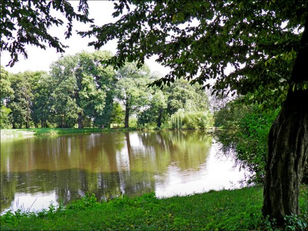 Pałac Turnauów w Urzejowicach z 1887 roku w trakcie odbudowy  i park krajobrazowy .