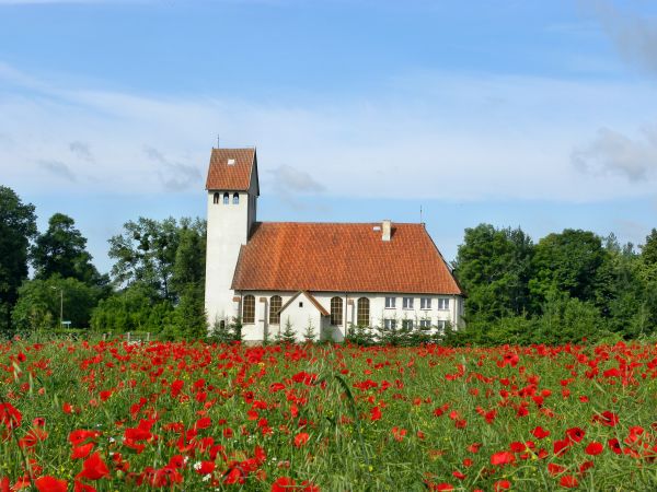 Skandawa dnia 19 -06-2011r