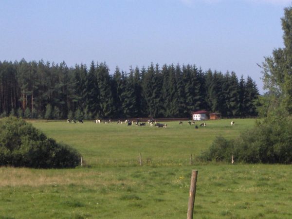 Gamerki Wielkie Zatorze