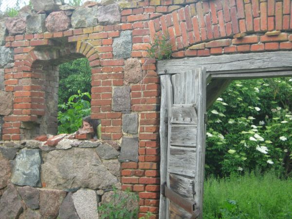 zdjecie Litwinowicze