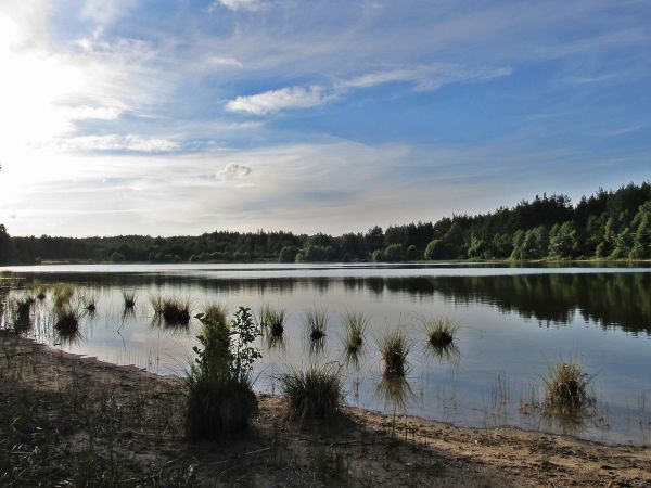 Nad jeziorem Gogolinek w Czarnym - ośrodek wczasowy