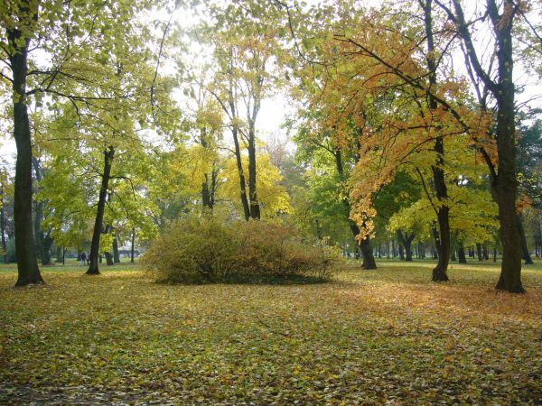 Stargard Szczeciński - park Batorego
