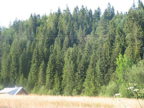 zdjecie Ochotnica Górna