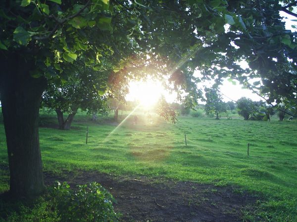 Tuż przed zachodem..