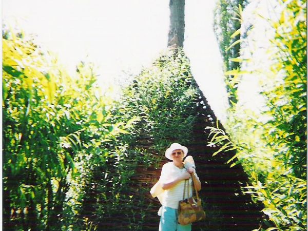 Odmiany uprawne wikliny - różna przydatność /giętkość, kolor/. Duża kolekcja wierzb plecionkarskich - ubogacają prezentacje.