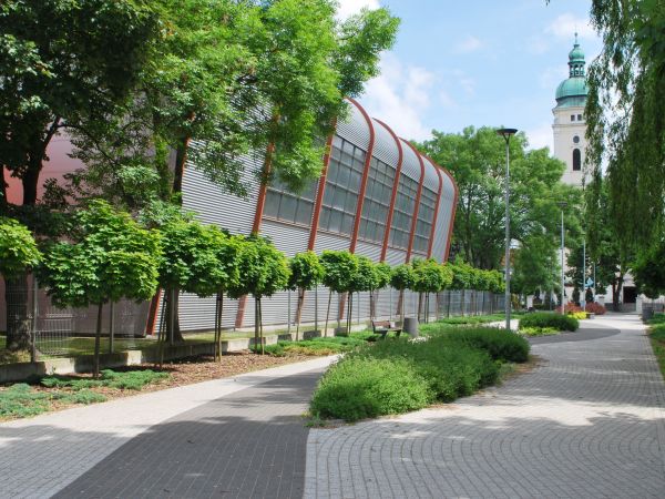 Deptak im.ks.Stanisława Olędzkiego