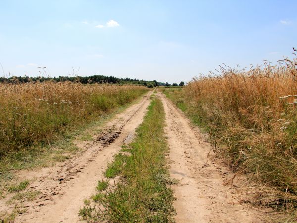 zdjecie Chrzczonowice