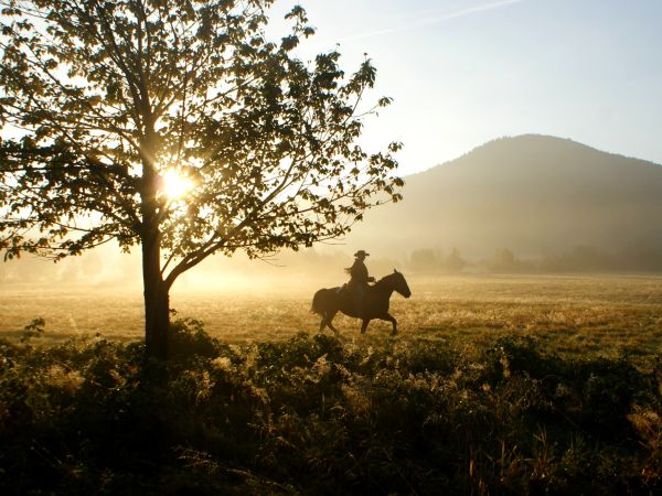 zdjecie Stary Gierałtów
