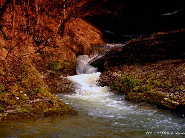 Potok Biała Woda