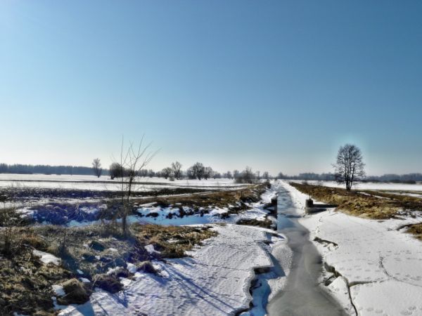 Zdj wykonano dnia  09 - 03 - 2011 r