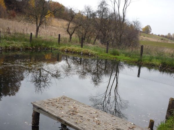 Staw obok leśniczówki na Gościbi.
