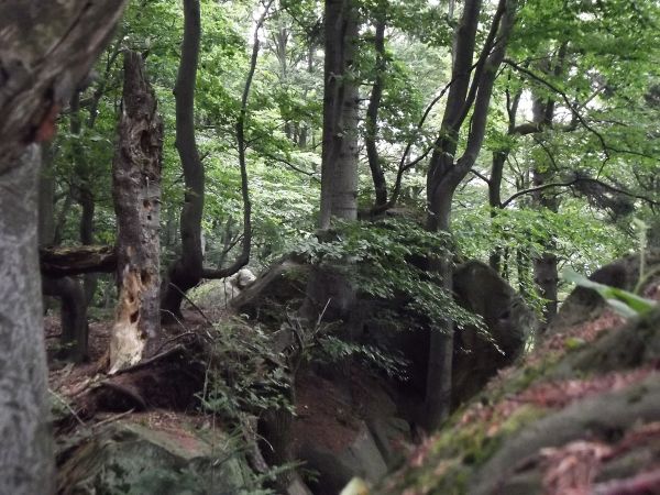 "księżycowy krajobraz" - tam niegdyś eksploatowany kamieniołom, a przy temacie: to św. Szczepan jest patronem kamieniarzy, pierwszy ukamienowany męczennik chrze