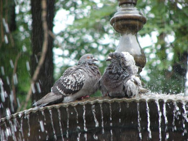 Fontanna przed teatrem