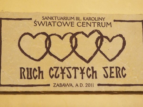 Bł. Karolina Kózkówna jest patronką Katolickiego Stowarzyszenia Młodzieży, znanym dziełem powstałym z inspiracji jej życiem jest Ruch Czystych Serc.  Warto pozn