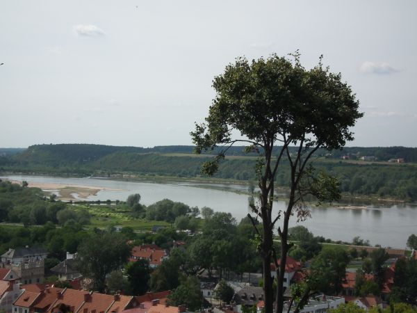 zdjecie Kazimierz Dolny