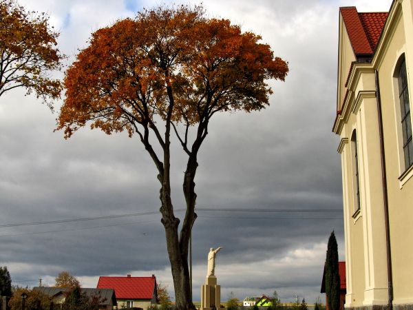 Kościół p.w.  św. Elżbiety w Pinczynie