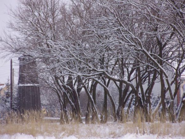 zdjecie Krzyżanowice