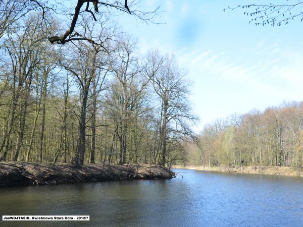 Zakola Starej Odry cieszą oczy swym tajemniczym urokiem przez cały rok