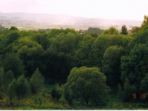 Fot. Szczepan Żyłka