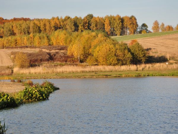 zdjecie Wodzisław Śląski