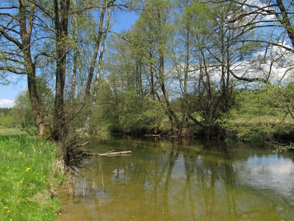 Kanał rzeki Wdy oraz teren nad nim położony