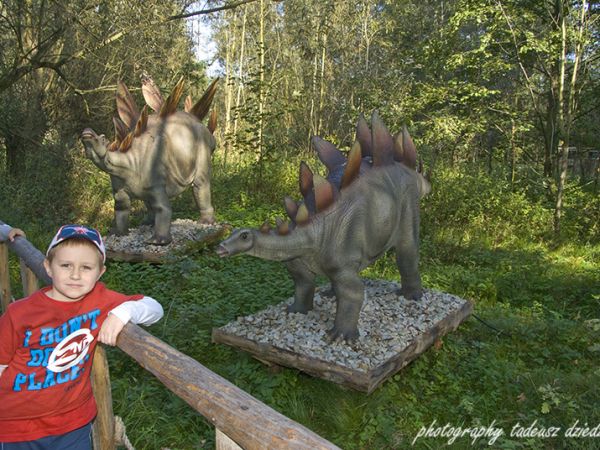 Park Ruchomych Dinozaurów